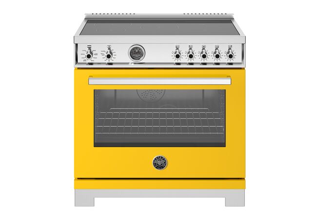 Bertazzoni Professional Series 36" Range: Gas, Dual Fuel, and Induction — Multiple Finishes